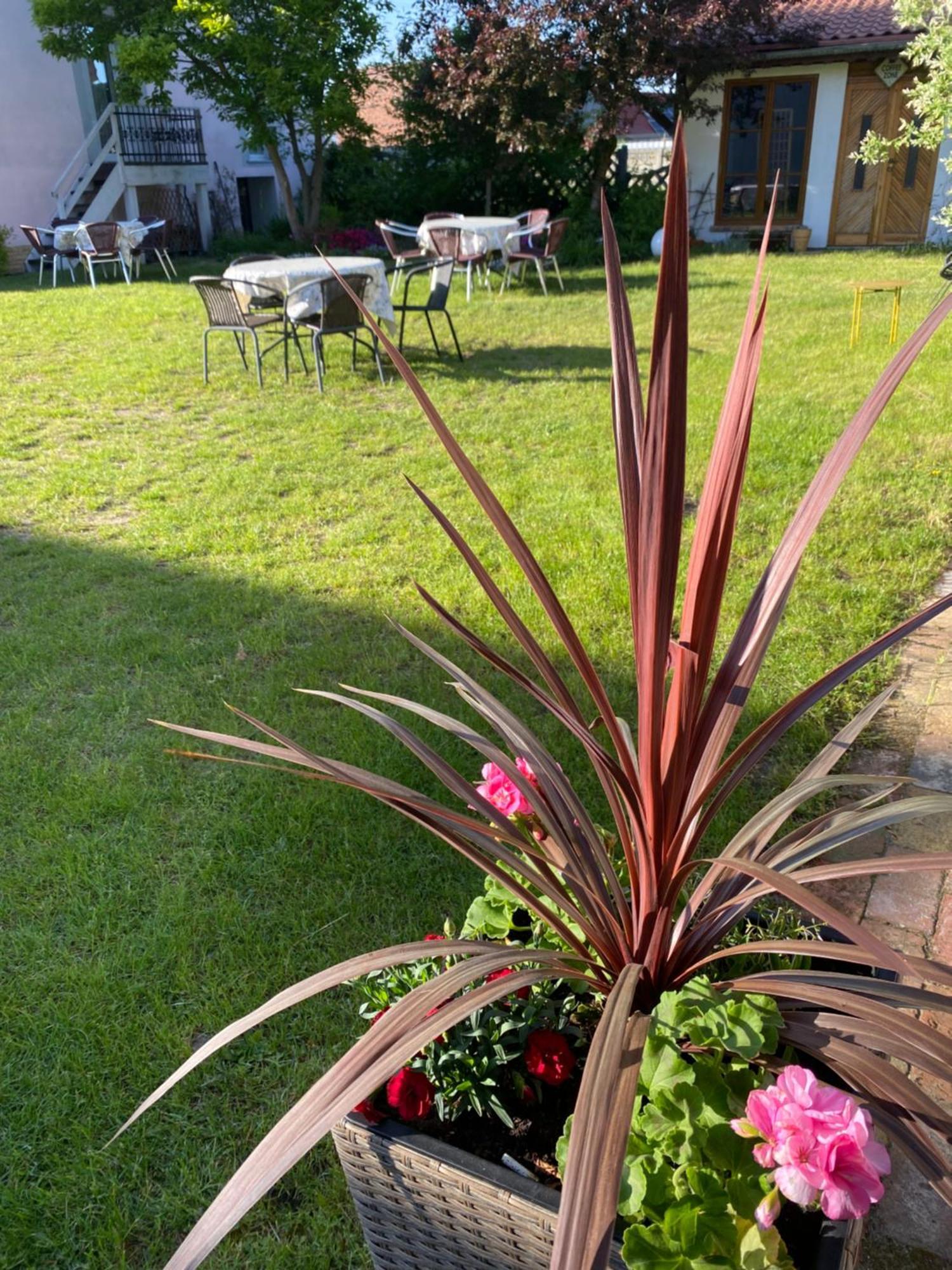 Guest House Wiejska Sielanka Brody  Dış mekan fotoğraf