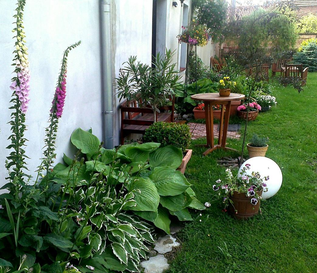 Guest House Wiejska Sielanka Brody  Dış mekan fotoğraf